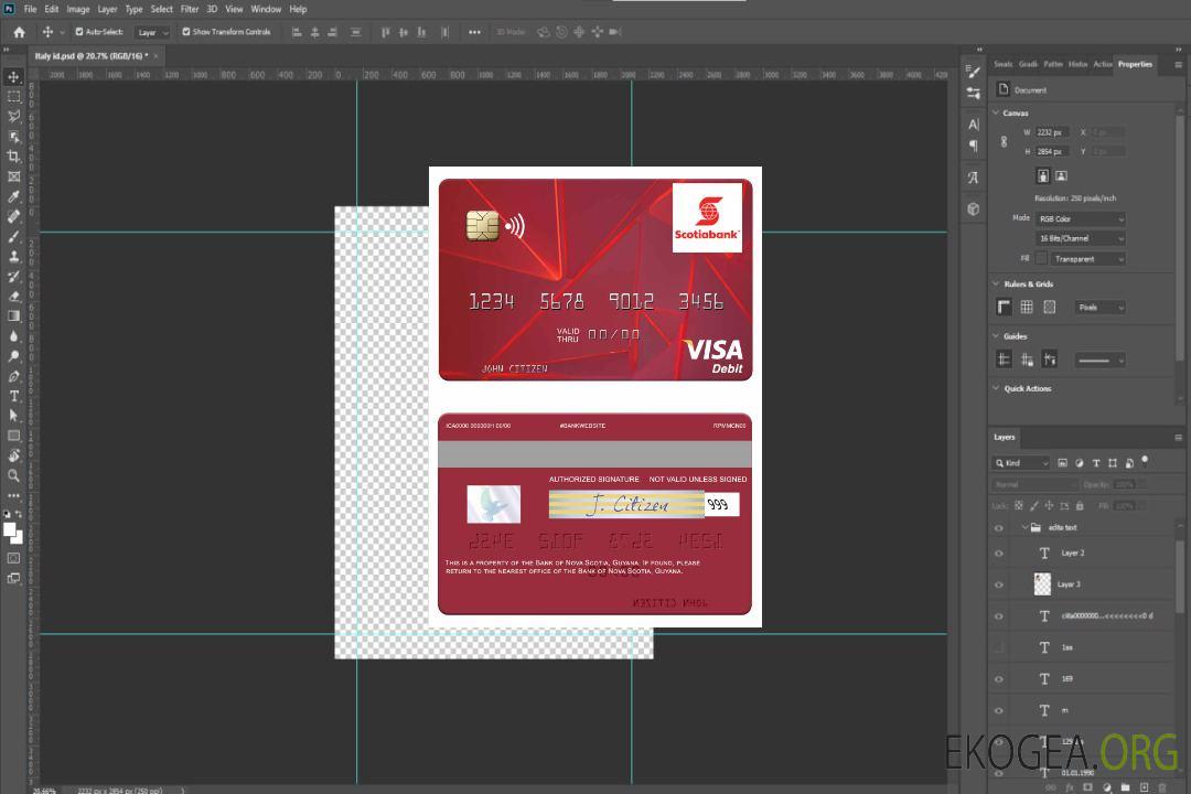 Carte de débit visa de la Guyana Bank of Nova Scotia template